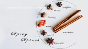 知らないスパイスに出会ったら！