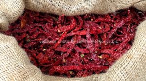 秋こそカレーを食べよう！！